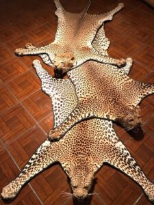 Leopard Rug